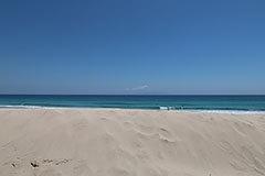 白浜海岸の写真