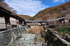 �����̓����̎ʐ^